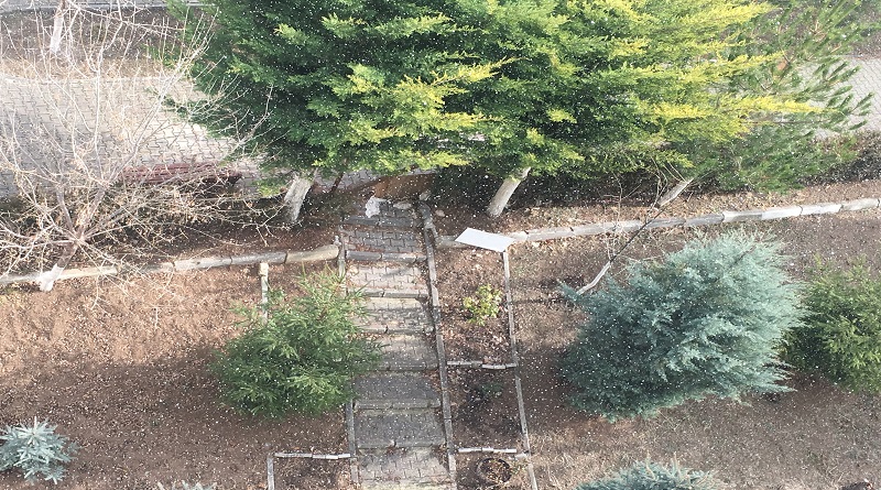ANKARA: Hem kar yağıyor hem güneş var