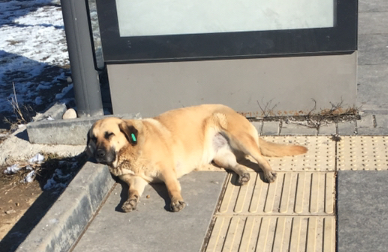 Hava güzel, ama unutmayalım!