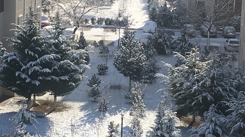 Gündüz Ankara!