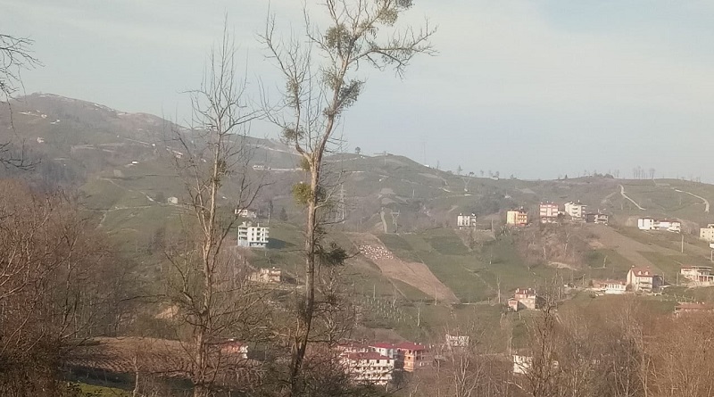 'Arazi ve Arsa Düzenlemeleri' hakkında yönetmelik yayınlandı!
