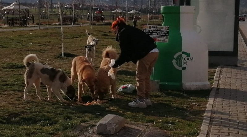Lütfen unutmayalım: ÇÜNKÜ...
