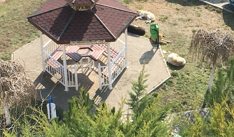 Havada sıcak olunca...