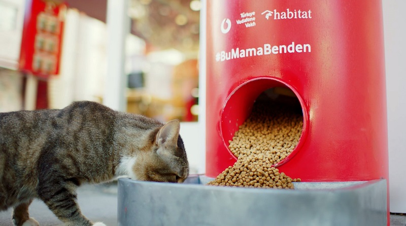 Türkiye Vodafone Vakfı'ndan