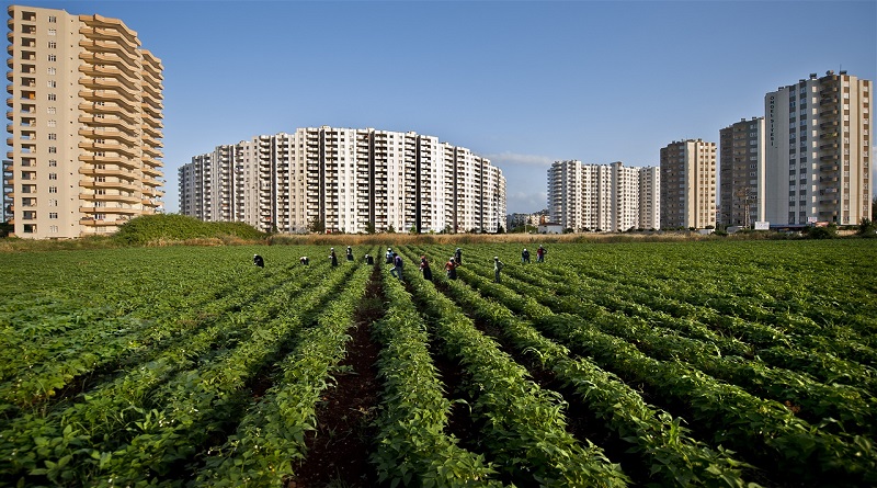 Sürdürülebilir bir tarım için ekim nöbeti sistemi doğru uygulanmalıdır