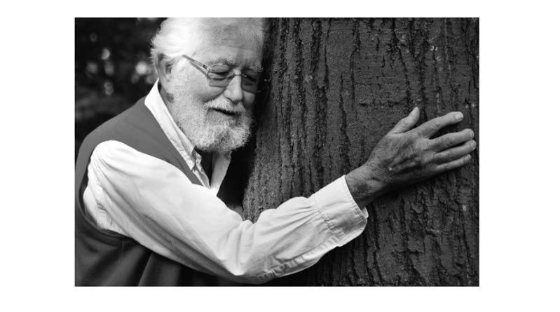 MEB Bakanı Selçuk: Çocuklar ağaçlara sarılsın...