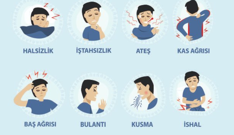 Kene vakalarına dikkat: Bu belirtiler varsa...