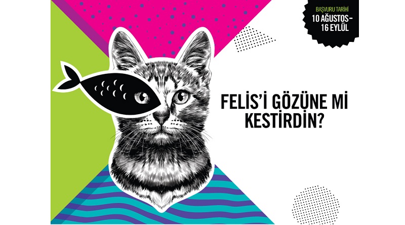 Felis Ödülleri için başvurular başladı