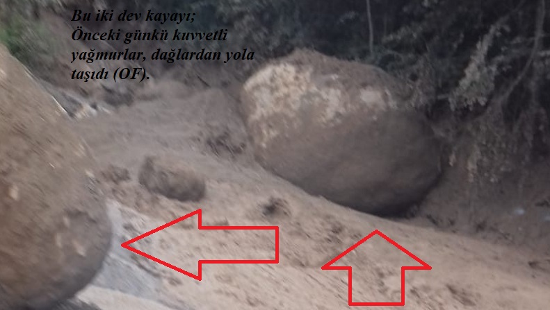 Bu haberi MUTLAKA Okumalısınız - Karadeniz ve Heyelanlar!