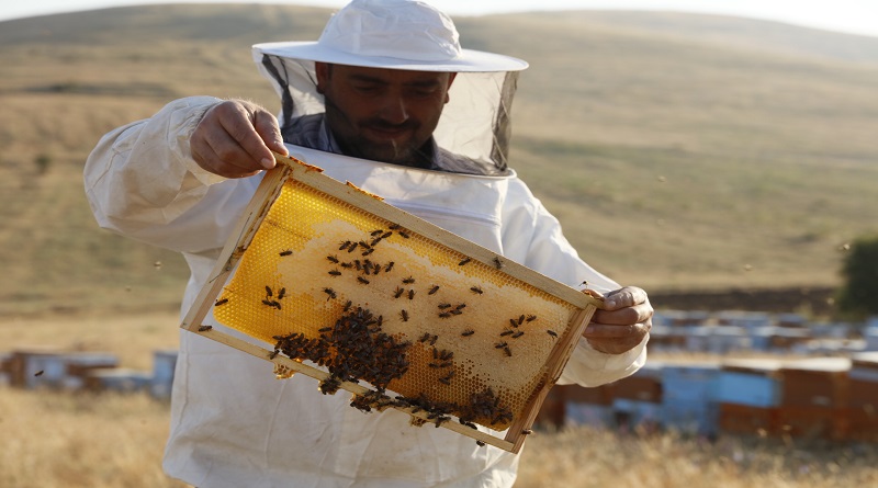 Arılar Varsa Yarınlar Var diyerek 70 bin kişiye ulaşacak