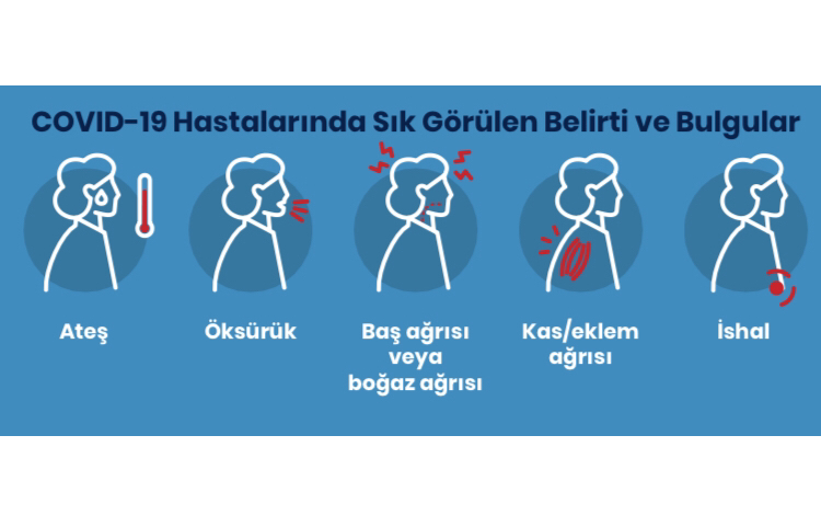 Yine artışa geçti!