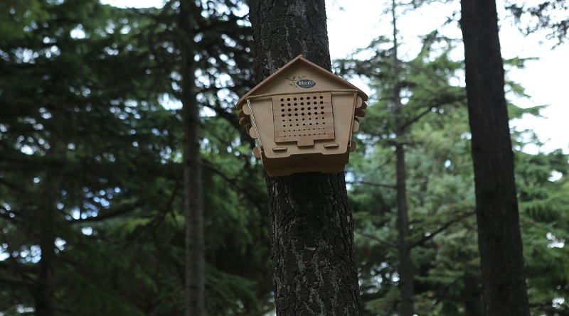 ‘’Arı Evim Geleceğim’’ projesi ile 50 Milyon arıyı doğaya kazandırmayı planlıyor