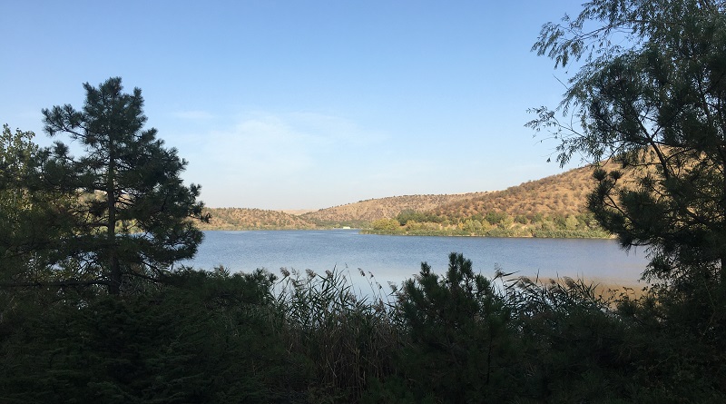 ODTÜ Eymir Gölü... Bol oksijenin merkezi...