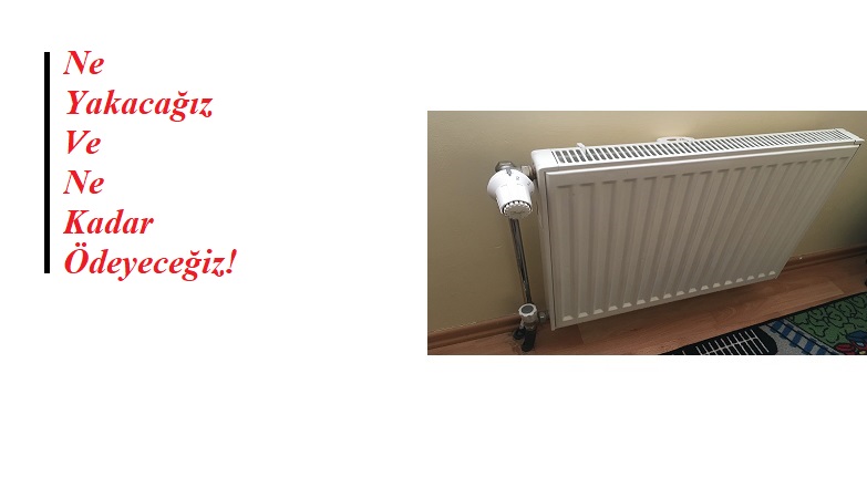 TÜKETİCİLER: Kışın ne yakacağız ve kaç para ödeyeceğiz?