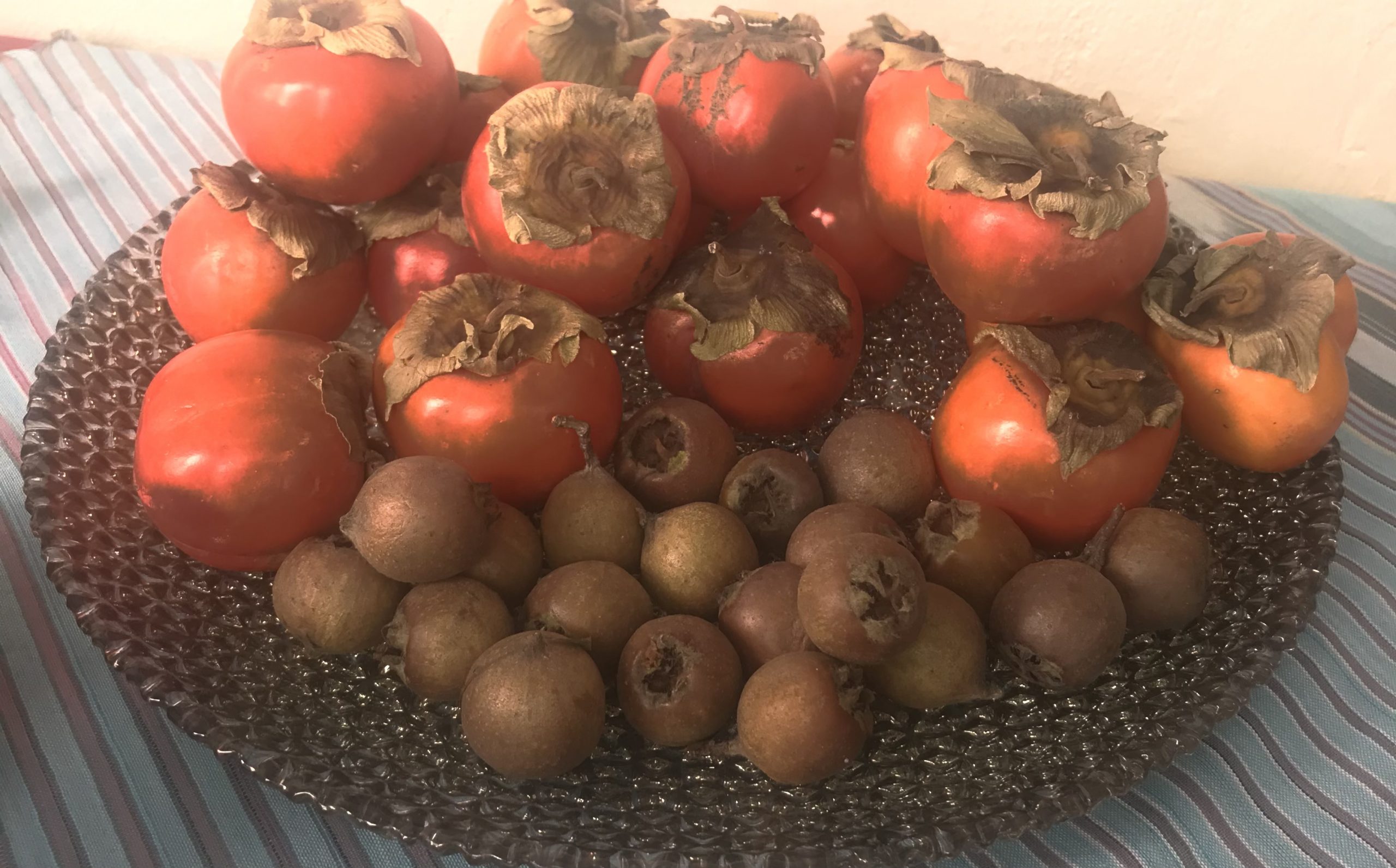 Karadeniz’in vazgeçilmez kış meyveleri!