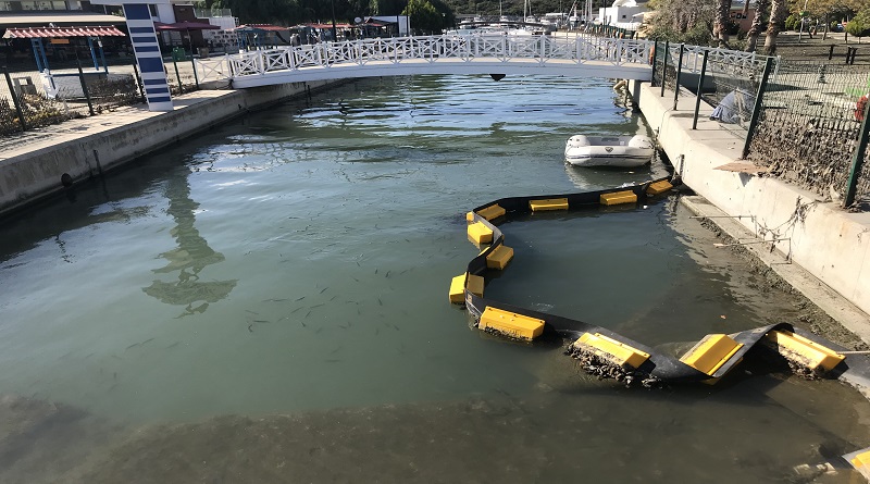 Tsunaminin vurduğu Sığacık - VİDEO (Balıklar)