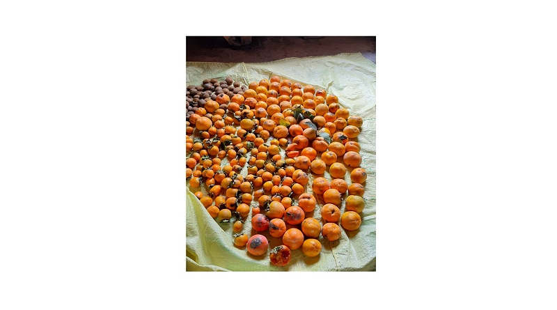 Yavaş yavaş kış meyveleri ortaya çıkyor!