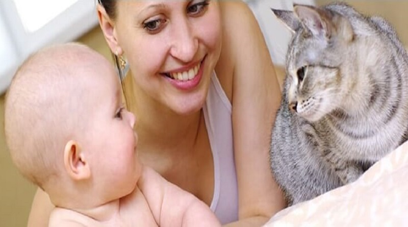 Kedi ve köpeğe alerjisi olanlara alerji aşısı yapılabiliyor