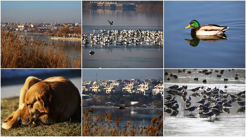 ODTÜ Eymir - Mogan Gölü'nden Kartpostallık Görüntüler