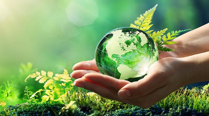 Vegan ve Ekolojik Hijyen Ürünleri Tercih Etmek İçin 3 Sebep
