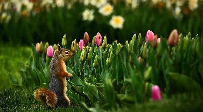 Facebook Türkiye'nin hayata geçirdiği Anadolu'nun 4 Mevsimi Fotoğraf Yarışması'nın kazananları belli oldu