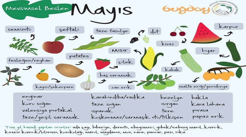 Mayıs ayı MEVSİMSEL ürünleri hangileri, biliyor musunuz?