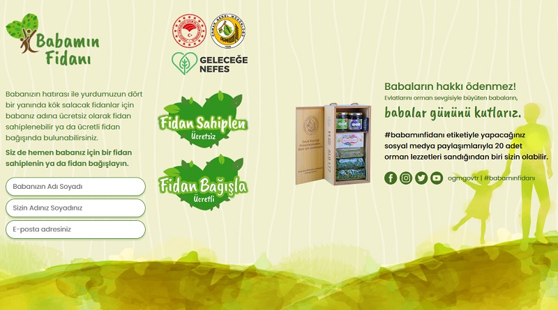 Babanız için ÜCRETSİZ fidan sahiplenebilirsiniz - Orman Genel Müdürlüğü!