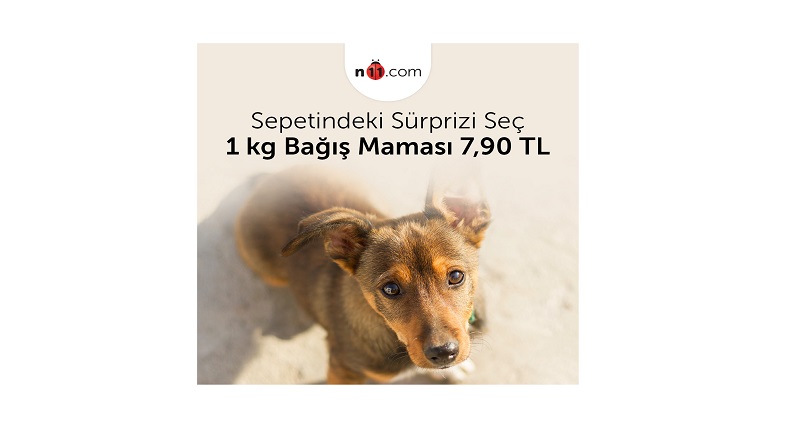 Kampanyadan alınan mamalar