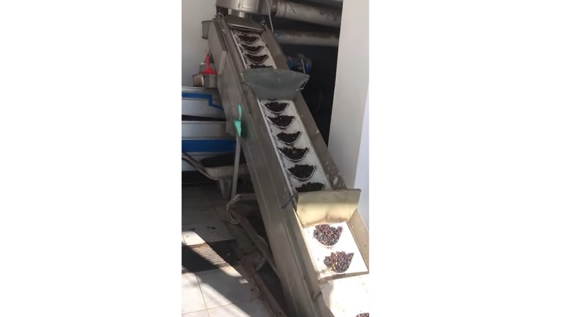 Ege'de hasat zamanı - Zeytin atölyeleri çalışıyor! VİDEOLU
