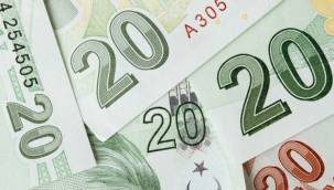 Merkez Bankası - Yeni 20 TL'lik banknotlar tedavüle girdi!