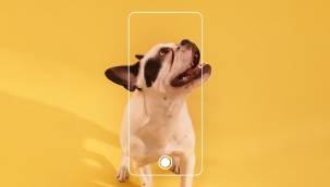 OPPO’dan yepyeni bir proje: Bu kez ünlüler değil onların evcil hayvanları başrolde
