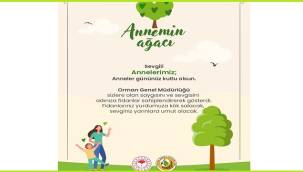 Anneniz için ağaç sahiplendiniz mi? - Tıklayın!