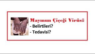 Maymun Çiçeği Virüsü nedir? Maymun Çiçeği nedir ve nasıl tedavi edilir?