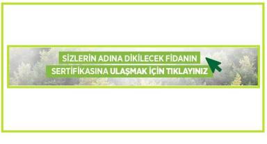 İsminizi ölümsüzleştirin - Adınıza ÜCRETSİZ fidan dikiyor!