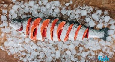 Kişi başı balık tüketimi 6-8 kiloyu geçmiyor