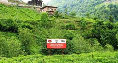 Satın Aldığınız Her Doğuş Çay Paketi, TEMA Vakfı İşbirliğinde Çay Topraklarının İyileştirilmesine Destek Oluyor