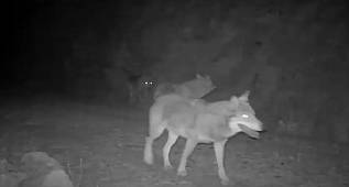 İlginç görüntüler!