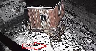 Sorun çakalda mı yoksa köpekte mi? (VİDEO 1)