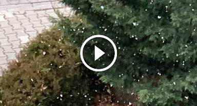 Ankara'ya YENİ kar - Tane tane yağıyor!